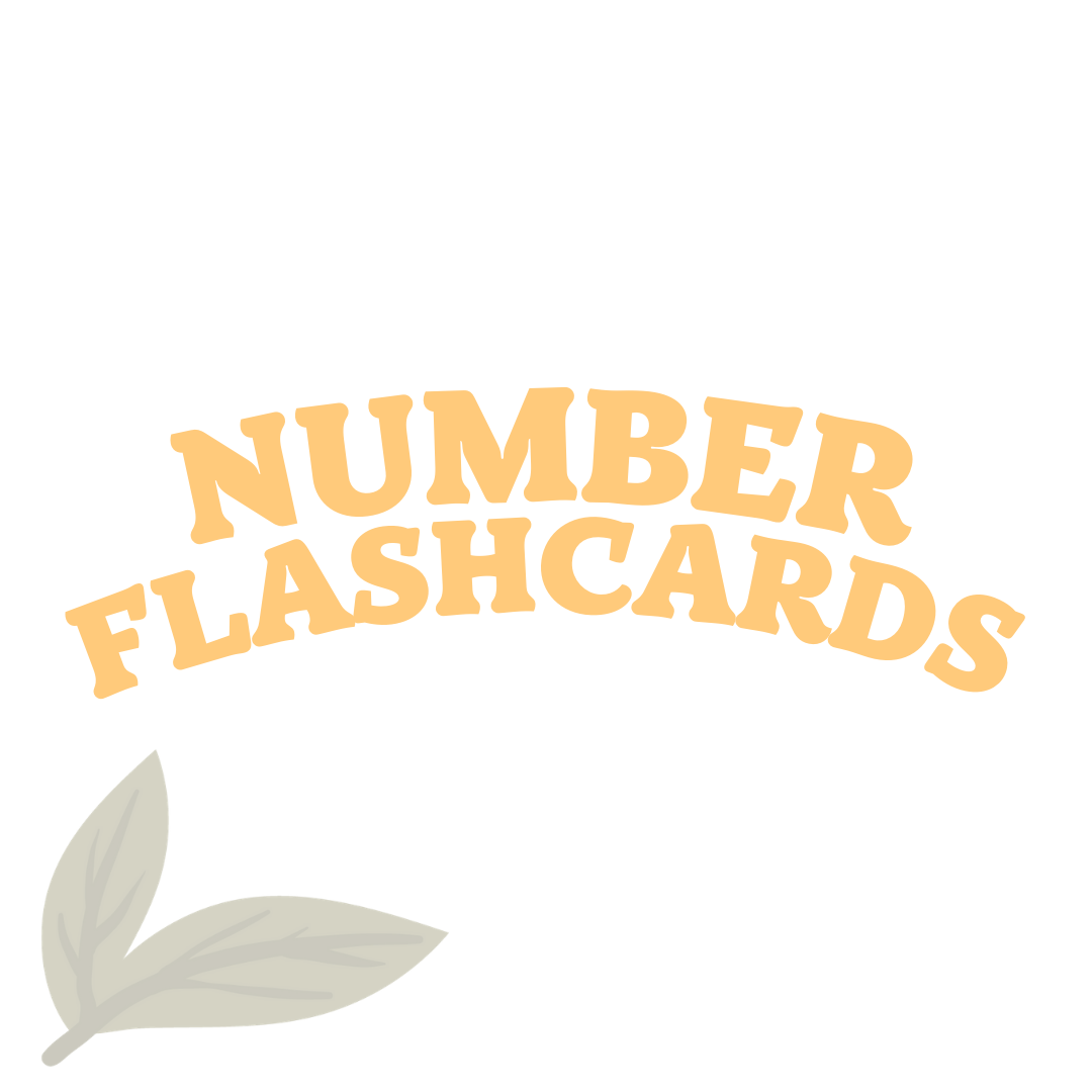 NUMBER 1-20 FLASHCARDS