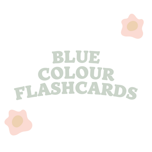 BLUE COLOUR FLASHCARDS